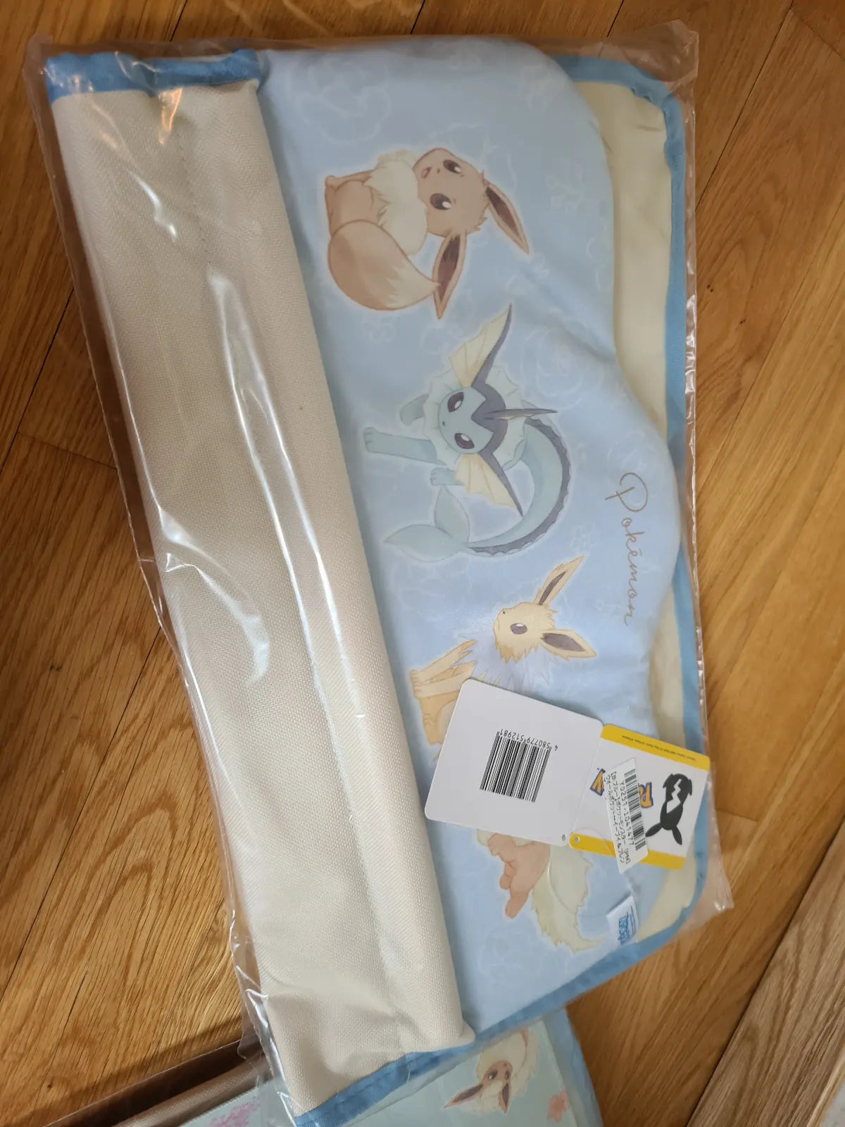 Pokemon Eevee Wall Organizer