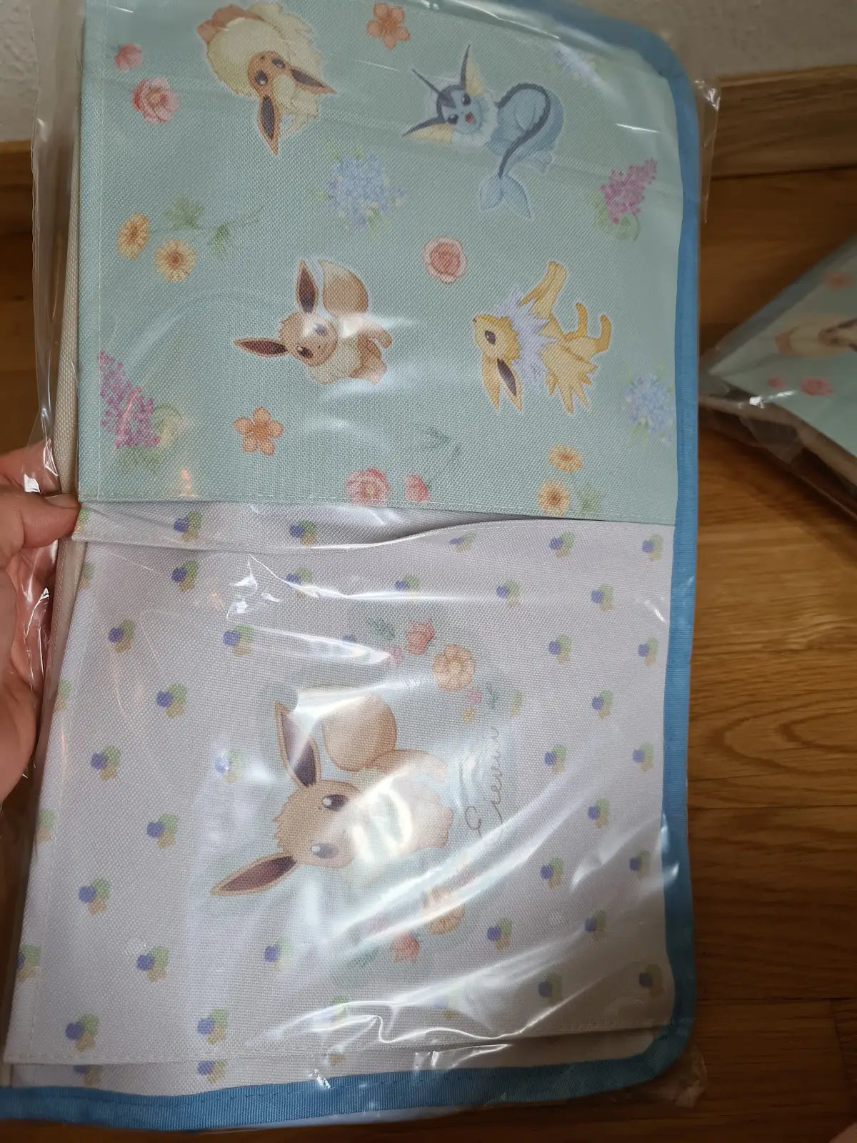 Pokemon Eevee Wall Organizer