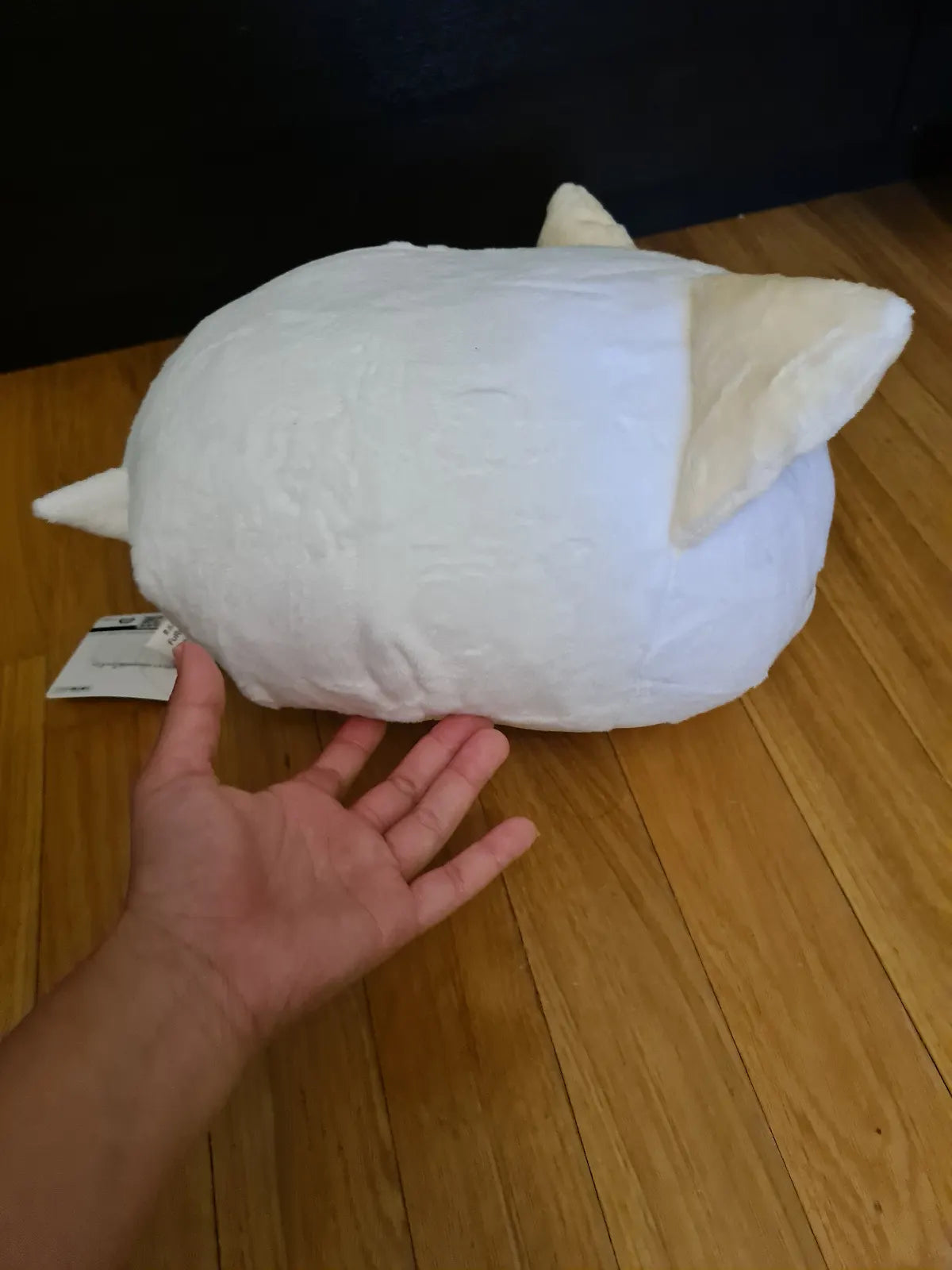 Nemuneko Plush Furyu