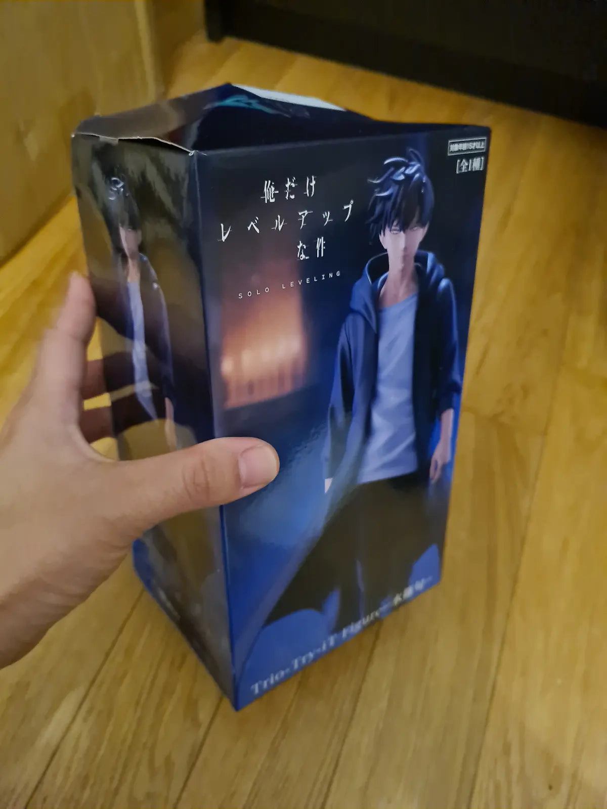 Solo Leveling Sung Jinwoo Trio Try It ¦ DAMAGED BOX ¦  Furyu