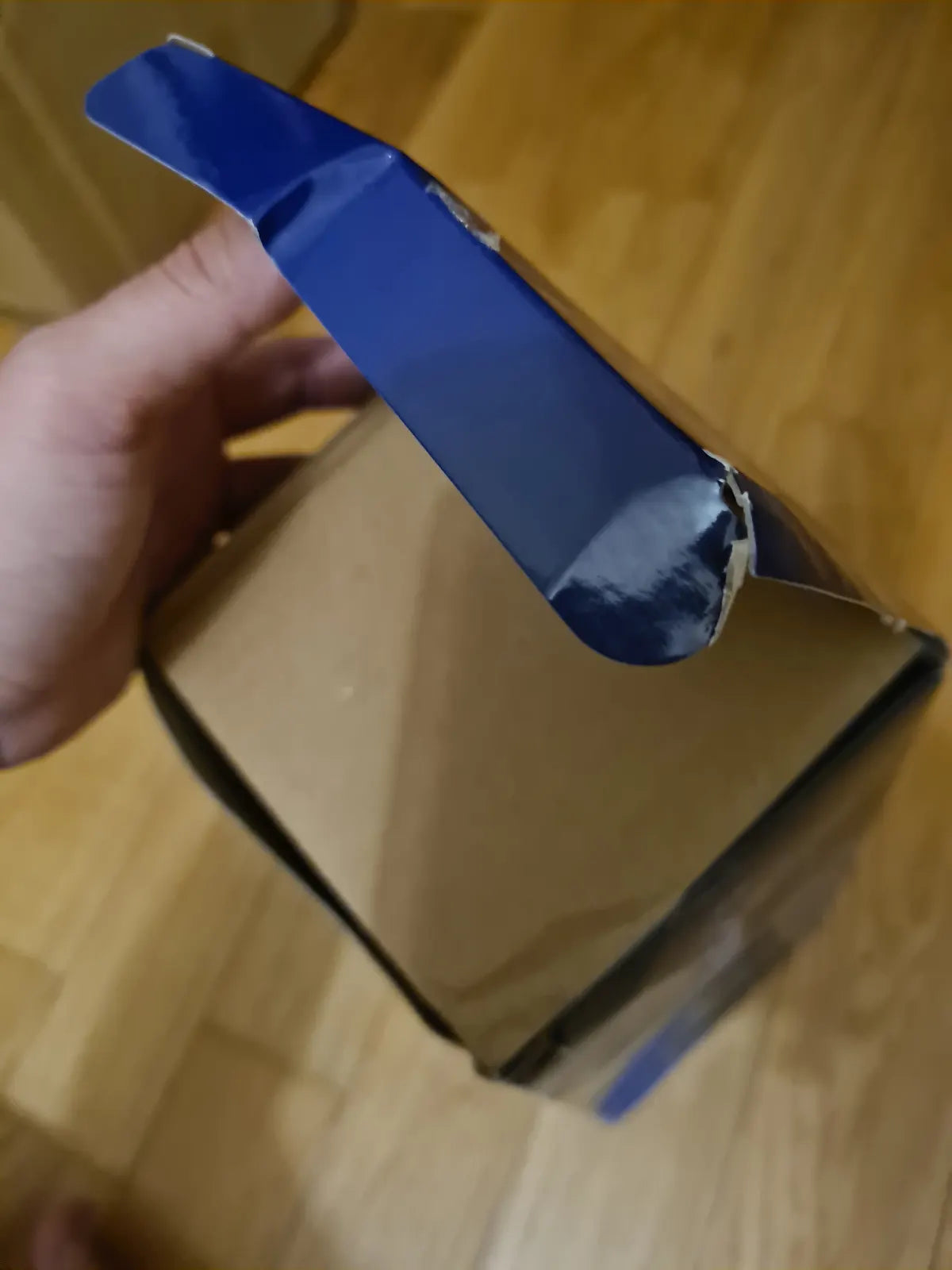 Solo Leveling Sung Jinwoo Trio Try It ¦ DAMAGED BOX ¦  Furyu